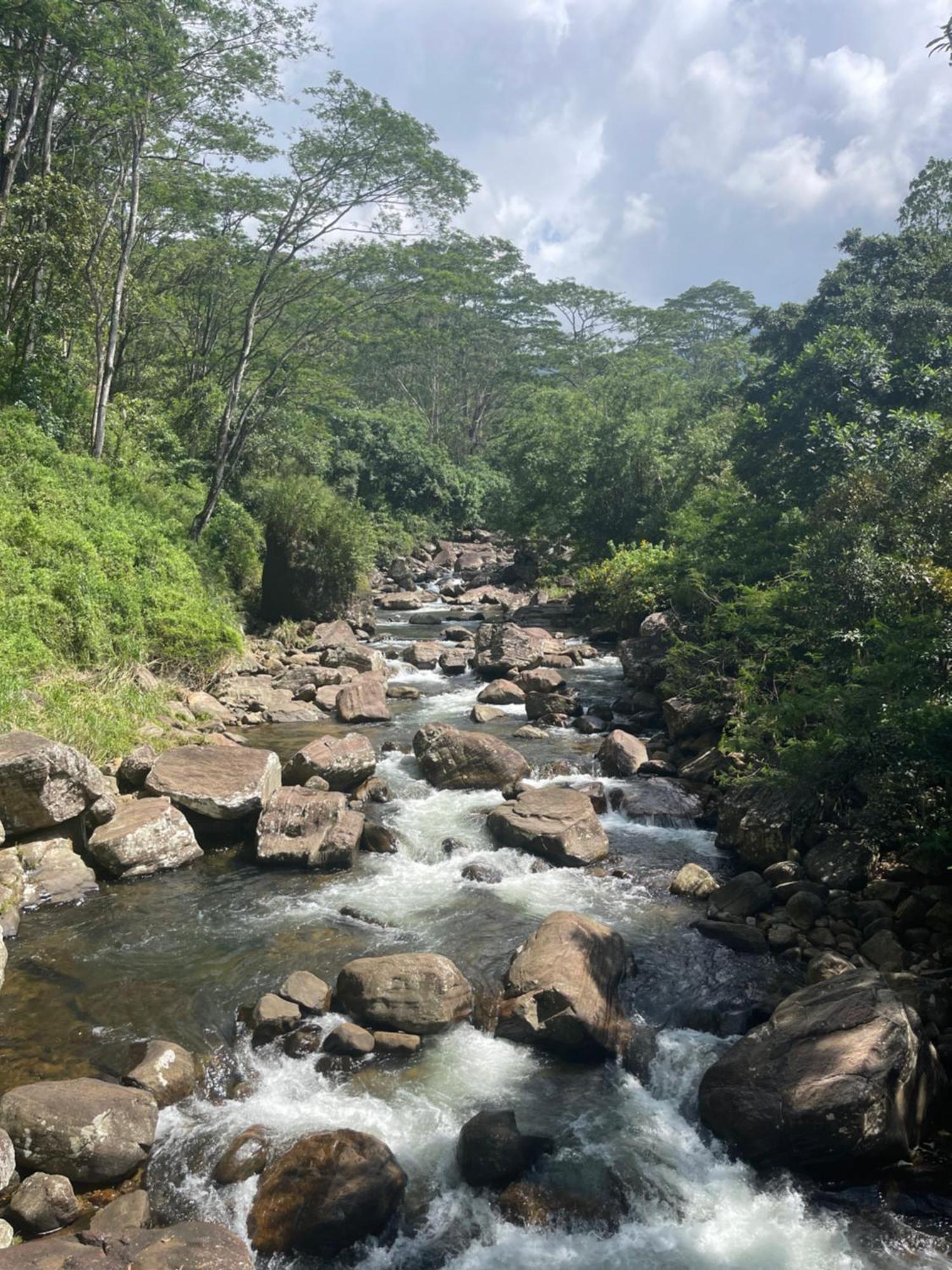 Eagles Lodge - Kandy Digana Εξωτερικό φωτογραφία