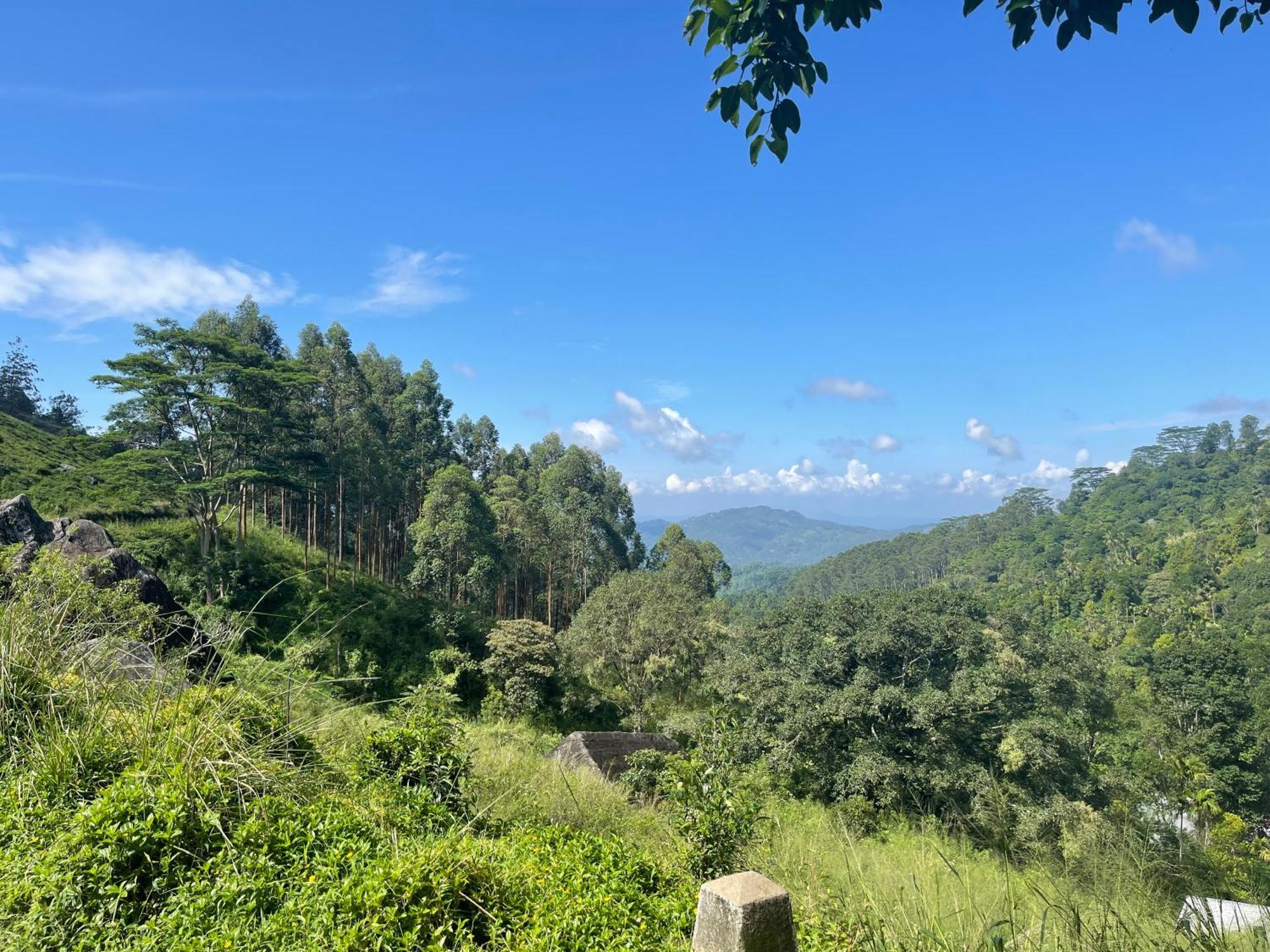 Eagles Lodge - Kandy Digana Εξωτερικό φωτογραφία