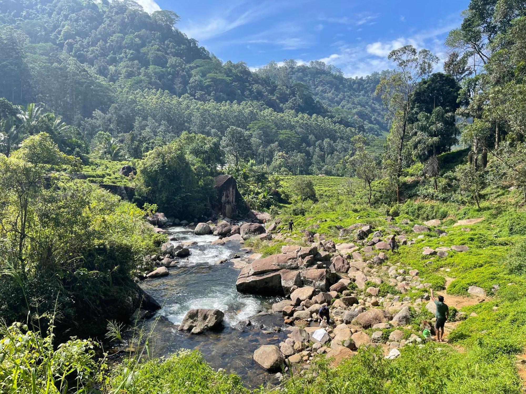 Eagles Lodge - Kandy Digana Εξωτερικό φωτογραφία